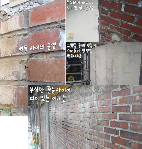 dc8607e48d4e7a046ddb65ef873df4e8_1582645398_0363.jpg